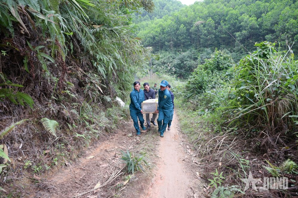 Bộ CHQS tỉnh Tuyên Quang: Hủy nổ an toàn quả bom sót lại sau chiến tranh
